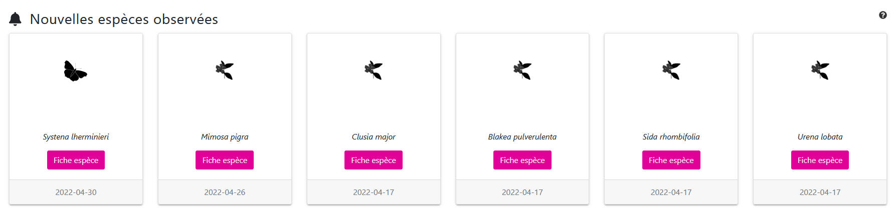 Rubrique “Nouvelles espèces observées”